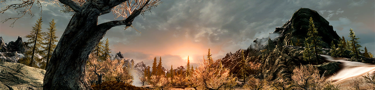 The Elder Scrolls V Skyrim VR